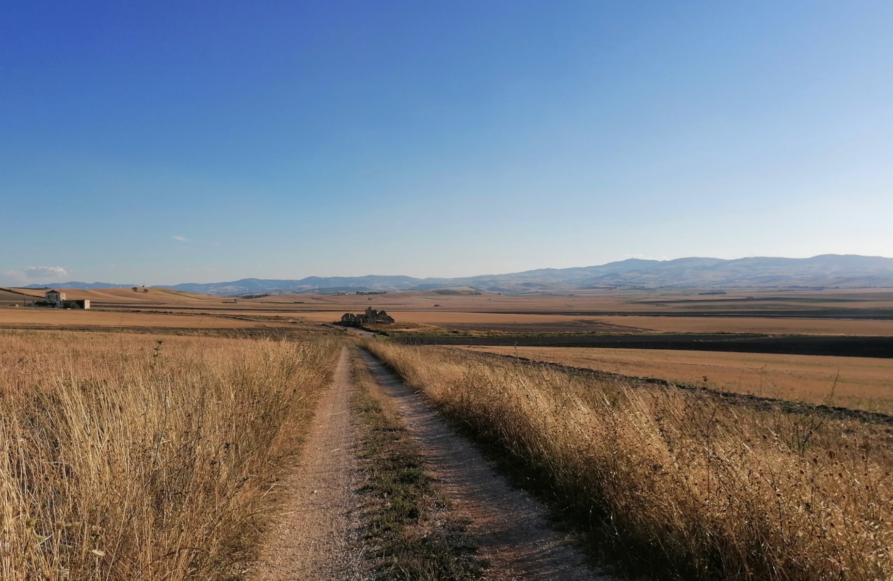 Daunia Rurale Foodlinks 2030